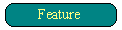 Feature